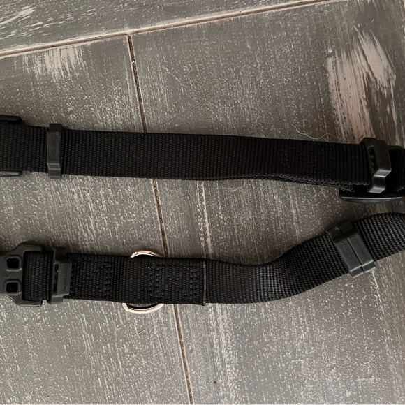 Coastal dog collar